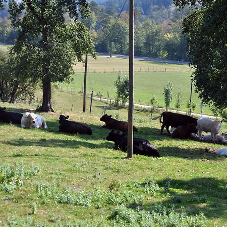Mostheuriger Steyrdurchbruchalm Leonstein Exteriér fotografie