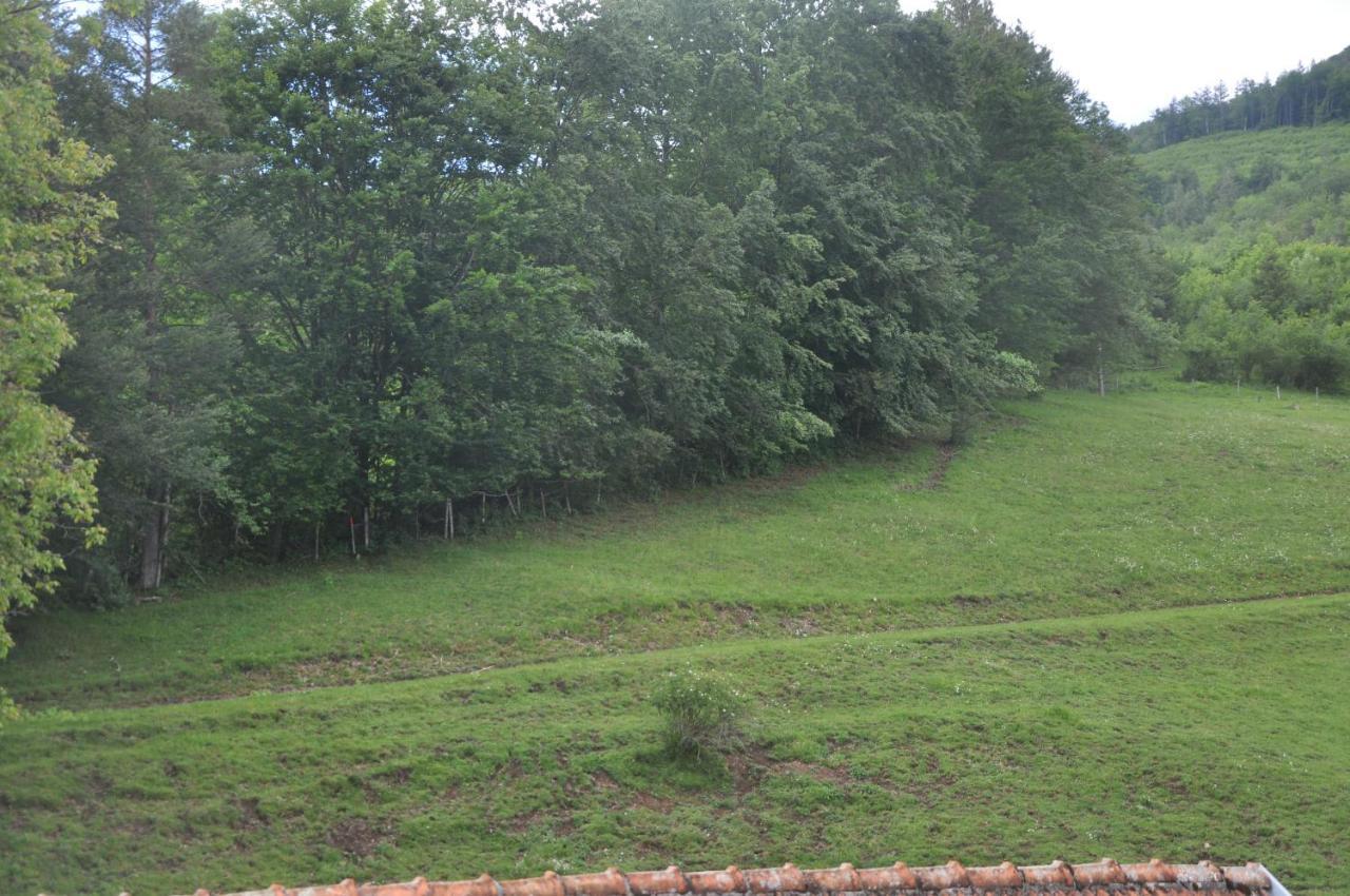 Mostheuriger Steyrdurchbruchalm Leonstein Exteriér fotografie