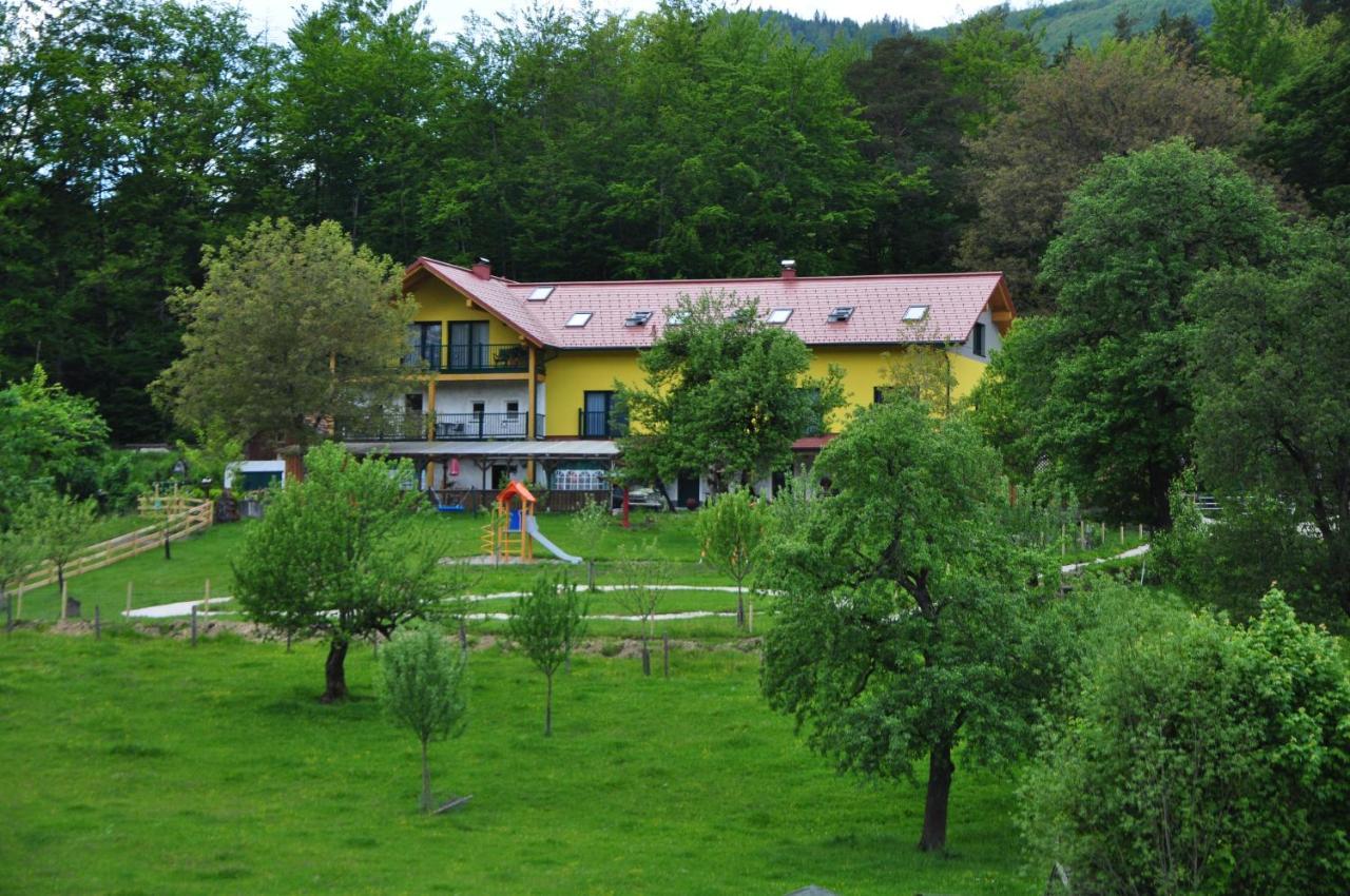 Mostheuriger Steyrdurchbruchalm Leonstein Exteriér fotografie